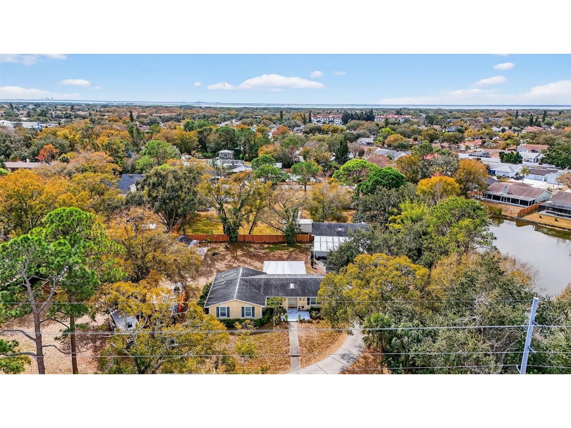 10262 Memorial Highway Tampa FL 33615 TB8484255 image49