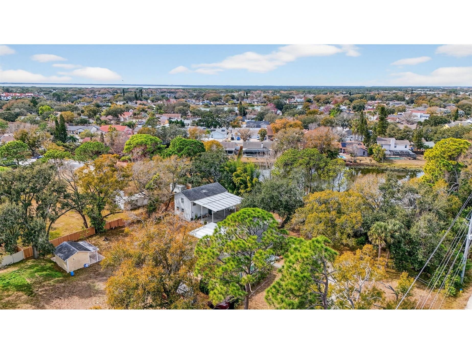 10262 Memorial Highway Tampa FL 33615 TB8484255 image51