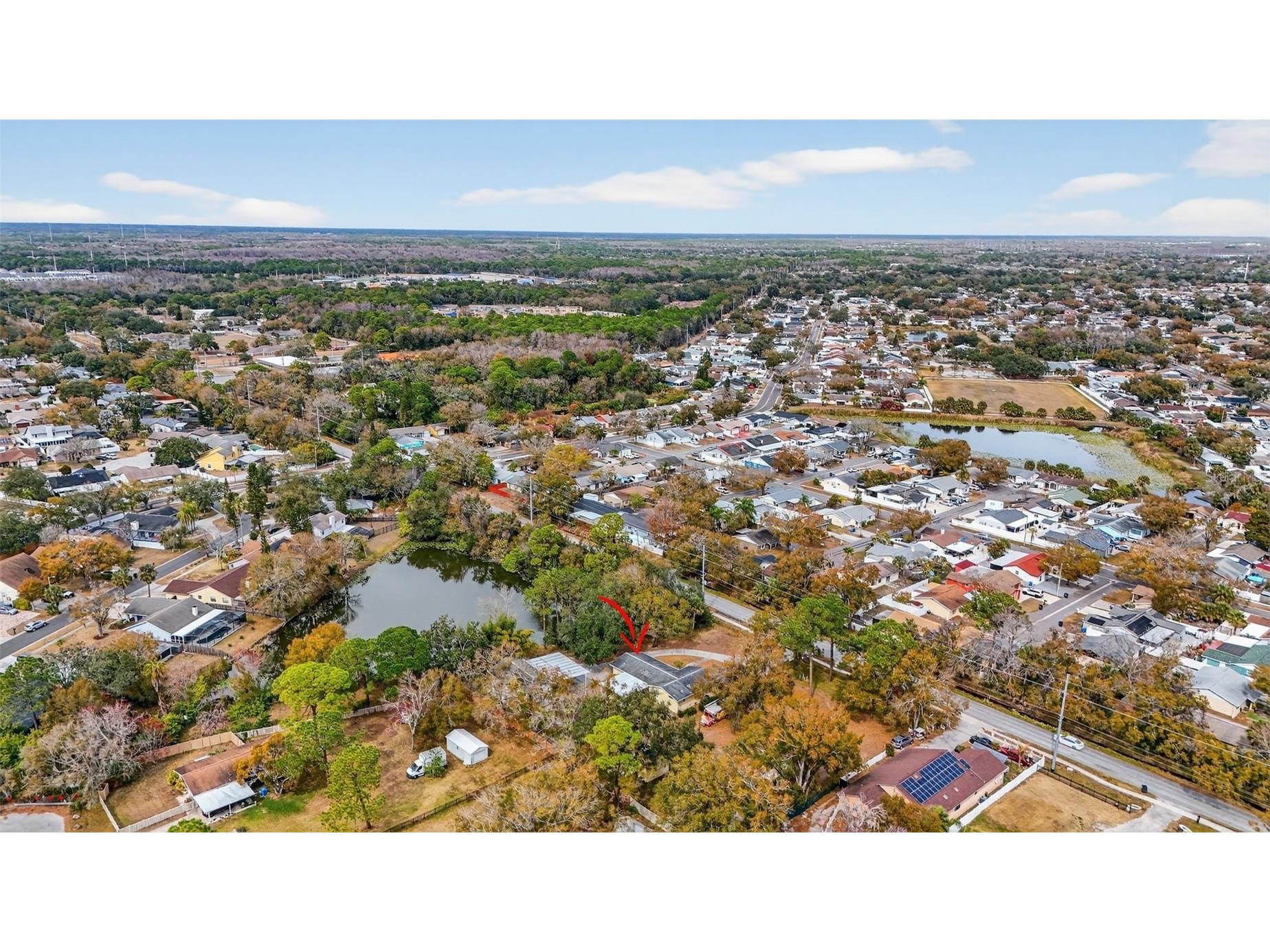 10262 Memorial Highway Tampa FL 33615 TB8484255 image53