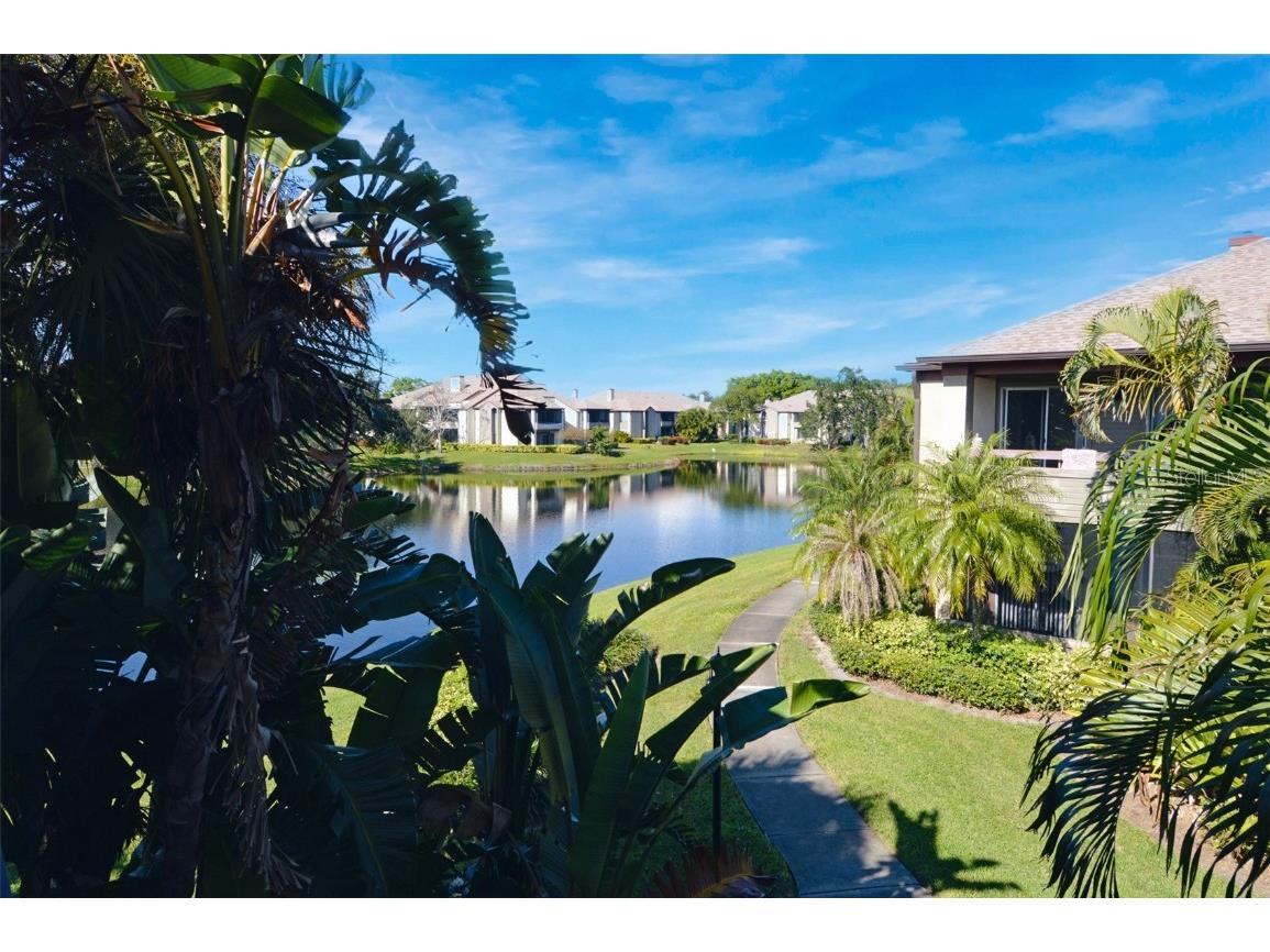 10263 Gandy Boulevard N #108(FURNISHED) Saint Petersburg FL 33702 TB8444950 image49