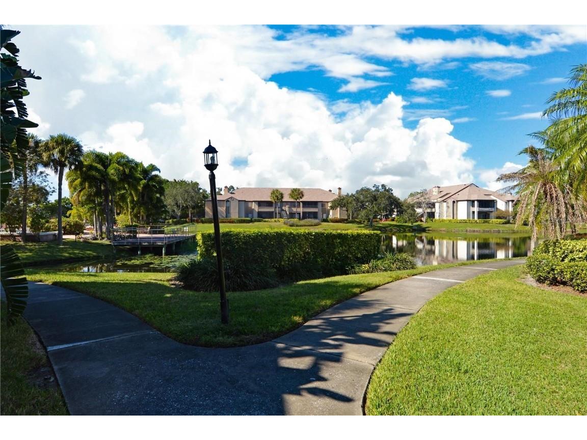 10263 Gandy Boulevard N #108(FURNISHED) Saint Petersburg FL 33702 TB8444950 image53