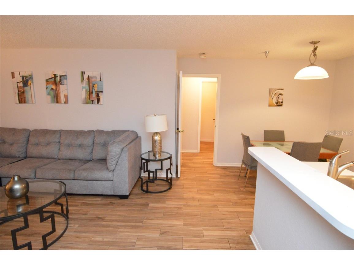 10263 Gandy Boulevard N #1409(FURNISHED) Saint Petersburg FL 33702 TB8380003 image15