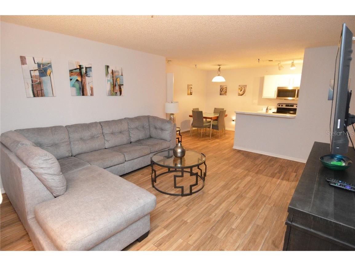 10263 Gandy Boulevard N #1409(FURNISHED) Saint Petersburg FL 33702 TB8380003 image16