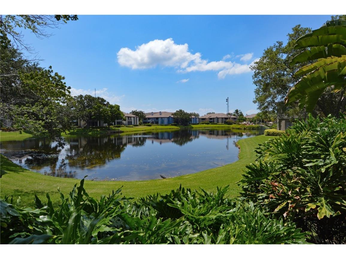 10263 Gandy Boulevard N #1409(FURNISHED) Saint Petersburg FL 33702 TB8380003 image47