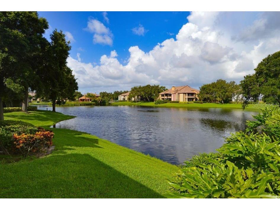 10263 Gandy Boulevard N #1409(FURNISHED) Saint Petersburg FL 33702 TB8380003 image48