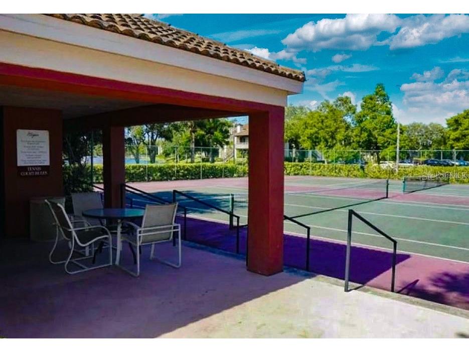 10263 Gandy Boulevard N #1409(FURNISHED) Saint Petersburg FL 33702 TB8380003 image60