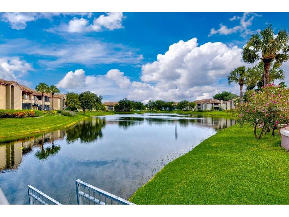 10263 Gandy Boulevard N #1409(FURNISHED) Saint Petersburg FL 33702 TB8380003 image90