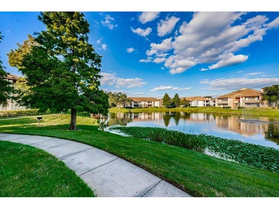 10263 Gandy Boulevard N #1916 Saint Petersburg FL 33702 TB8455022 image47