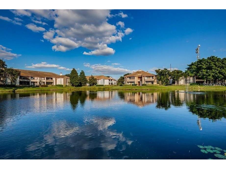 10263 Gandy Boulevard N #1916 Saint Petersburg FL 33702 TB8455022 image48