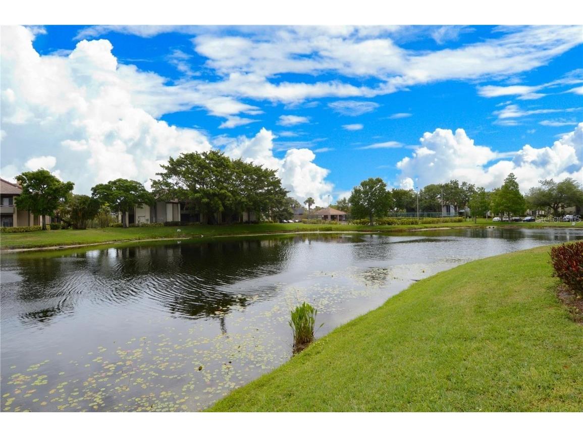 10263 Gandy Boulevard N #1916 Saint Petersburg FL 33702 TB8455022 image49