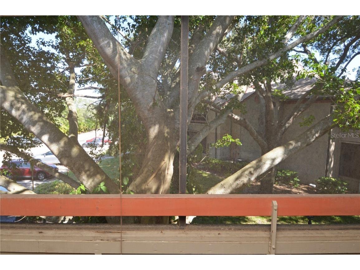 10263 Gandy Boulevard N #2016 Saint Petersburg FL 33702 TB8441625 image52