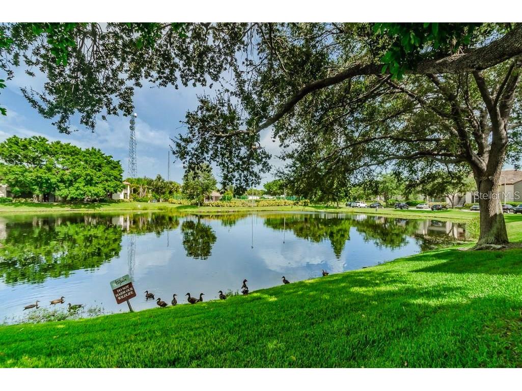 10263 Gandy Boulevard N #2016 Saint Petersburg FL 33702 TB8441625 image55