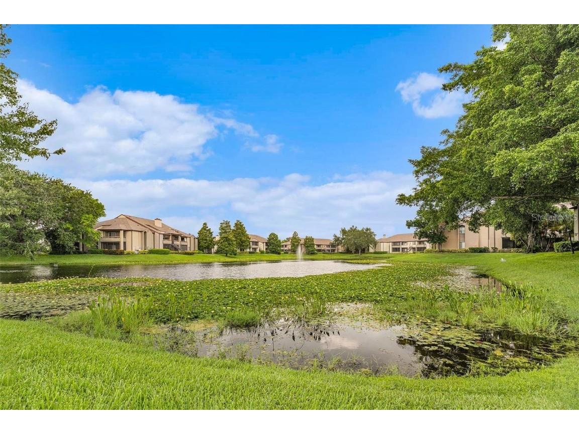 10263 Gandy Boulevard N #2016 Saint Petersburg FL 33702 TB8441625 image61