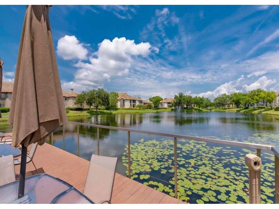 10263 Gandy Boulevard N #2016 Saint Petersburg FL 33702 TB8441625 image92