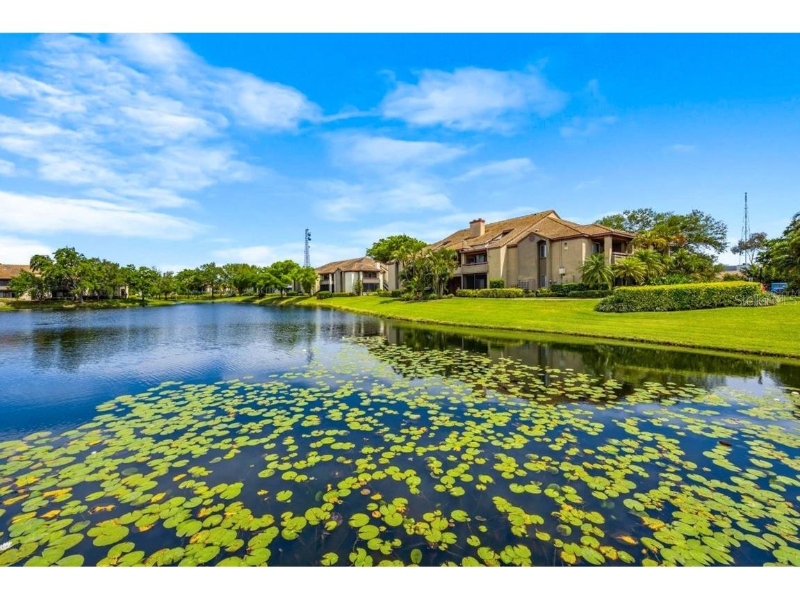 10263 Gandy Boulevard N #209 Saint Petersburg FL 33702 U8197641 image1