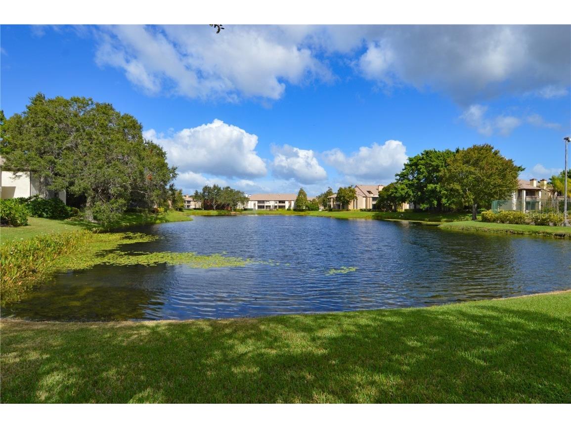 10263 Gandy Boulevard N #2102 Saint Petersburg FL 33702 U8222276 image1