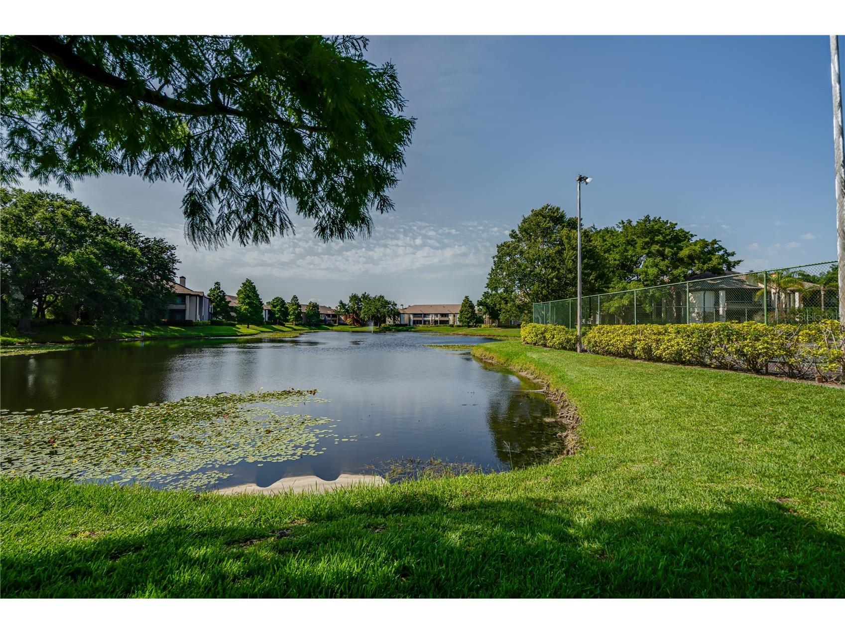 10263 Gandy Boulevard N #2106 Saint Petersburg FL 33702 A4688804 image4