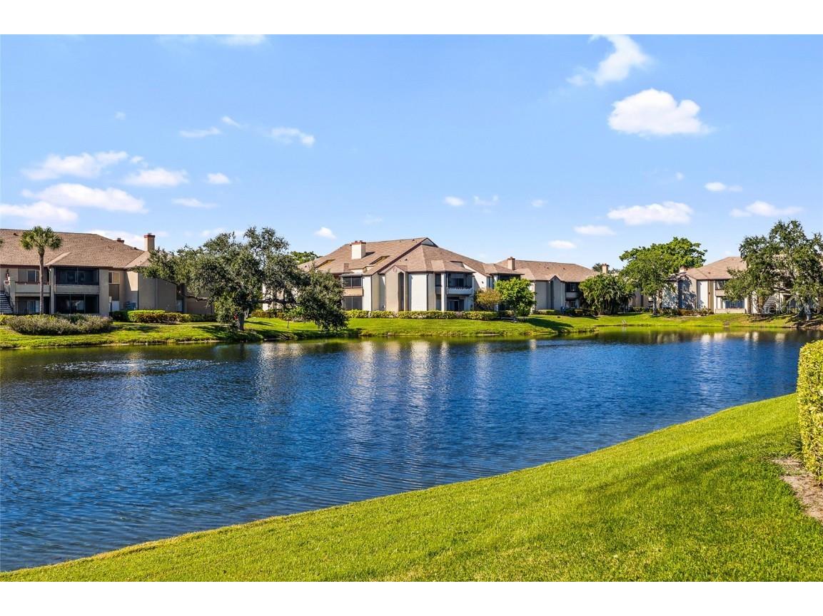 10263 Gandy Boulevard N #213 Saint Petersburg FL 33702 TB8440357 image26