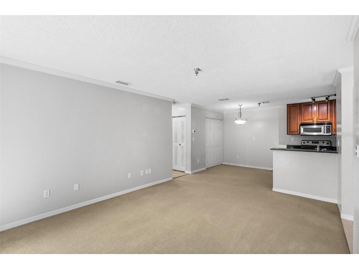 10263 Gandy Boulevard N #213 Saint Petersburg FL 33702 TB8440357 image5