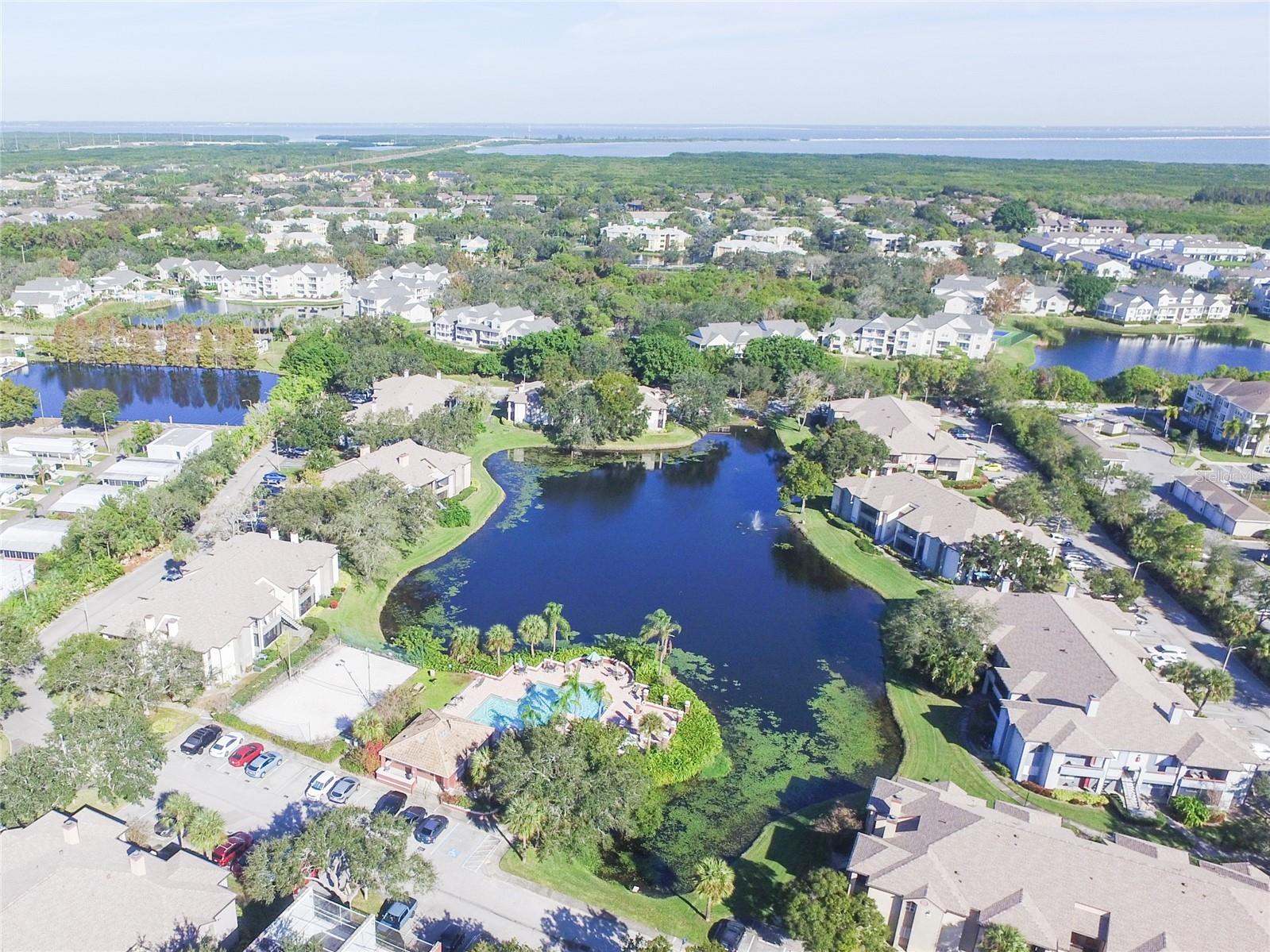 10263 Gandy Boulevard N #2202 Saint Petersburg FL 33702 TB8506292 image41