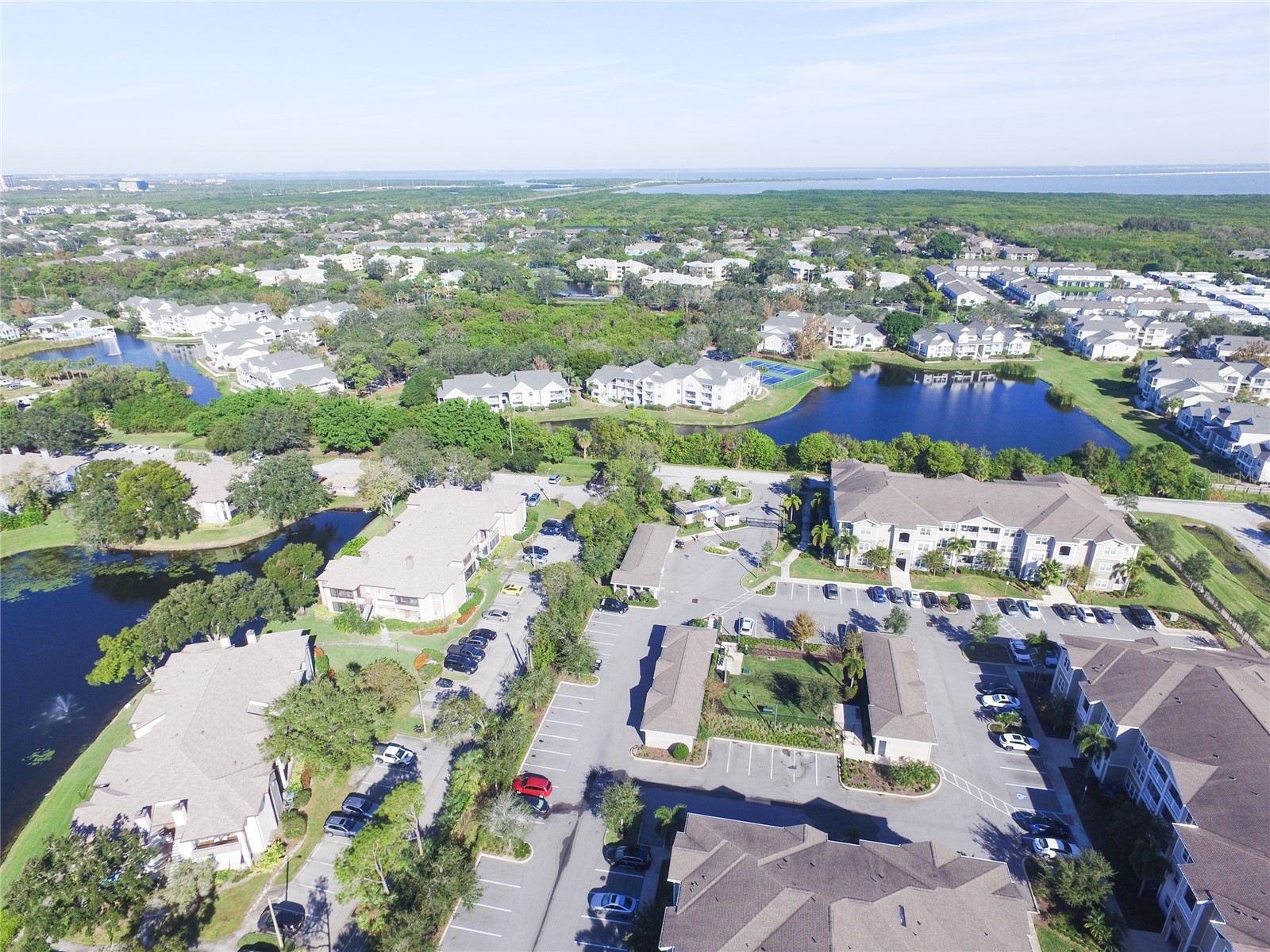 10263 Gandy Boulevard N #2202 Saint Petersburg FL 33702 TB8506292 image42