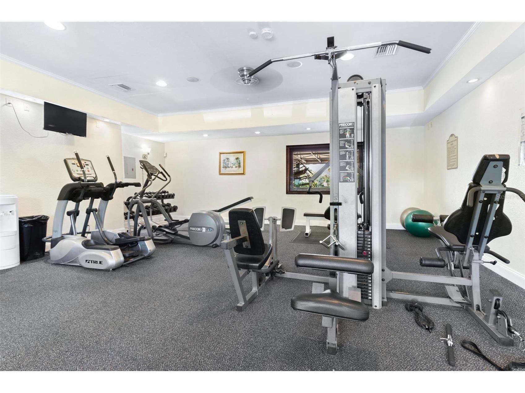 10263 Gandy Boulevard N #2303 Saint Petersburg FL 33702 TB8492722 image17