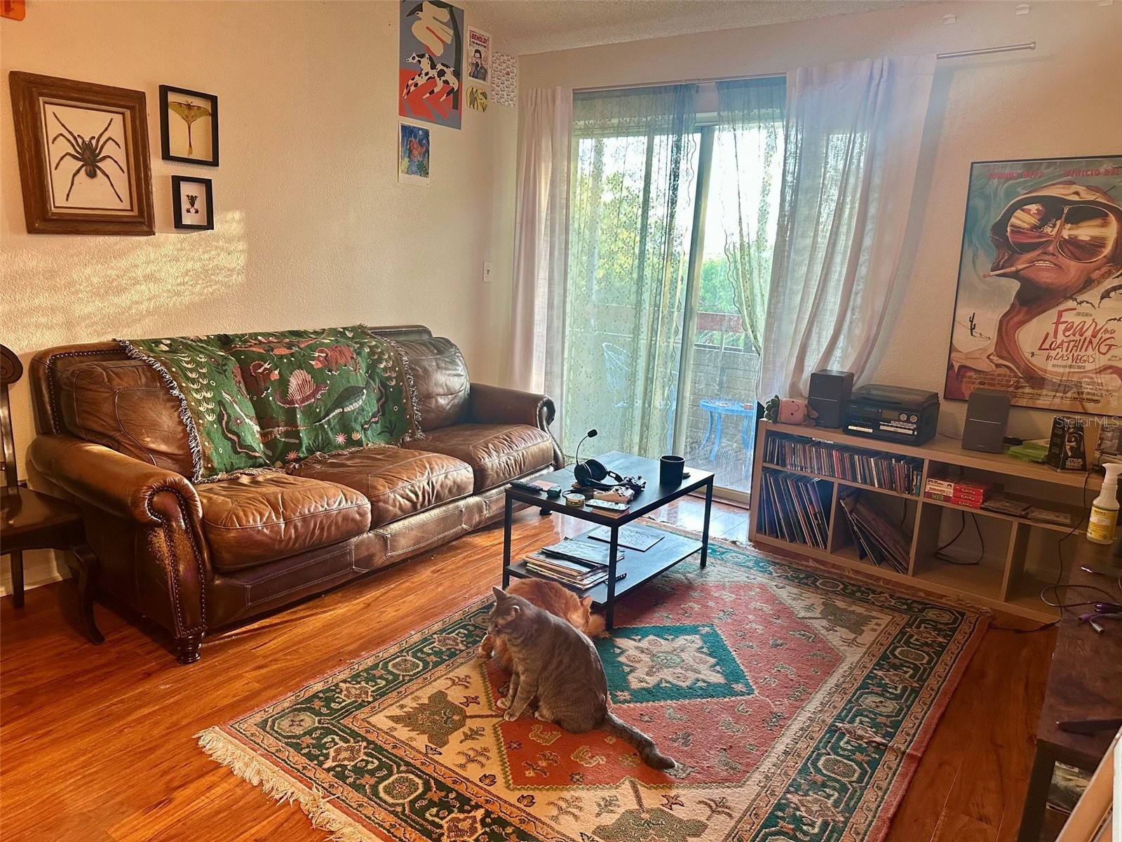 10263 Gandy Boulevard N #2304 Saint Petersburg FL 33702 TB8512856 image6