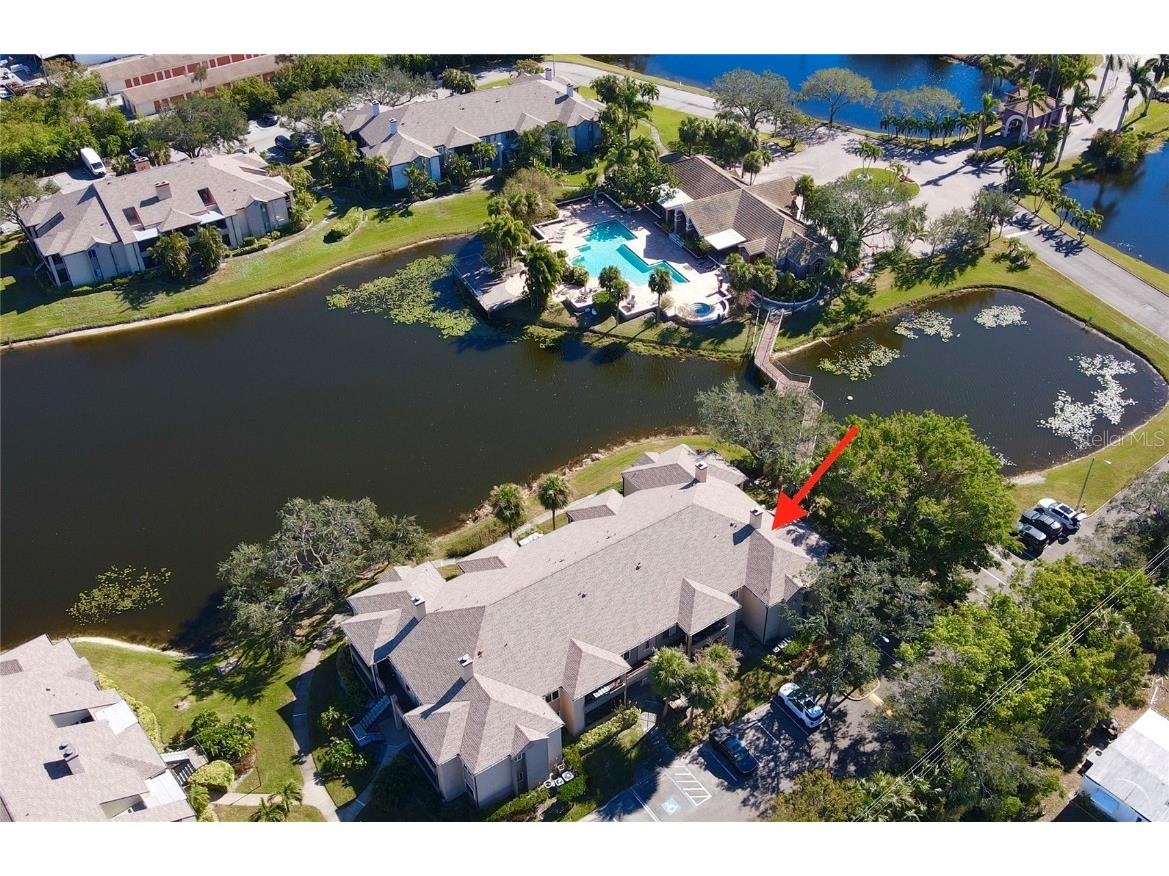 10263 Gandy Boulevard N #2406 Saint Petersburg FL 33702 TB8330000 image1