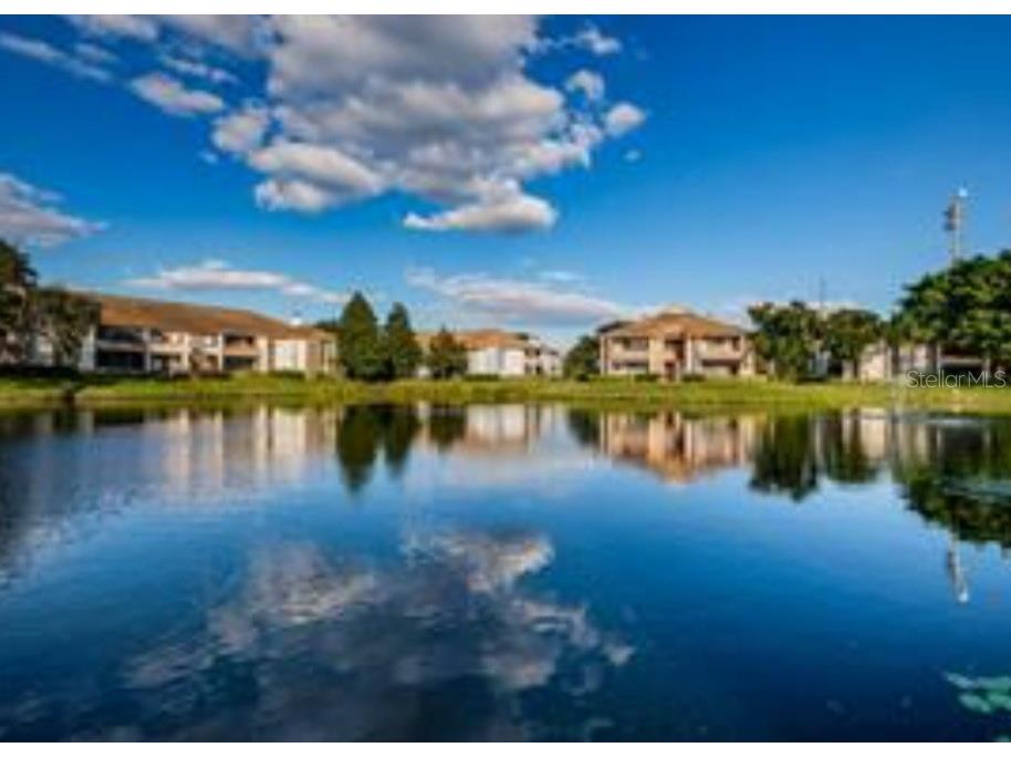 10263 Gandy Boulevard N #403 Saint Petersburg FL 33702 TB8512921 image26