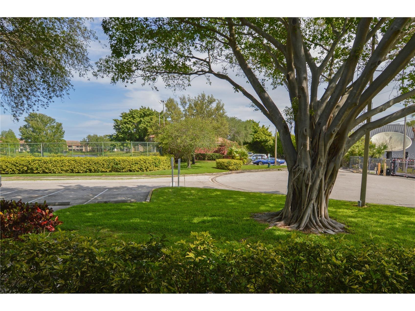 10263 Gandy Boulevard N #405 Saint Petersburg FL 33702 TB8476955 image44