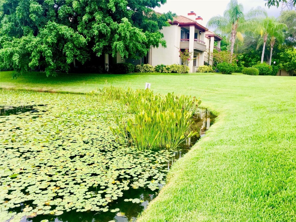 10263 Gandy Boulevard N #513 Saint Petersburg FL 33702 TB8455332 image13