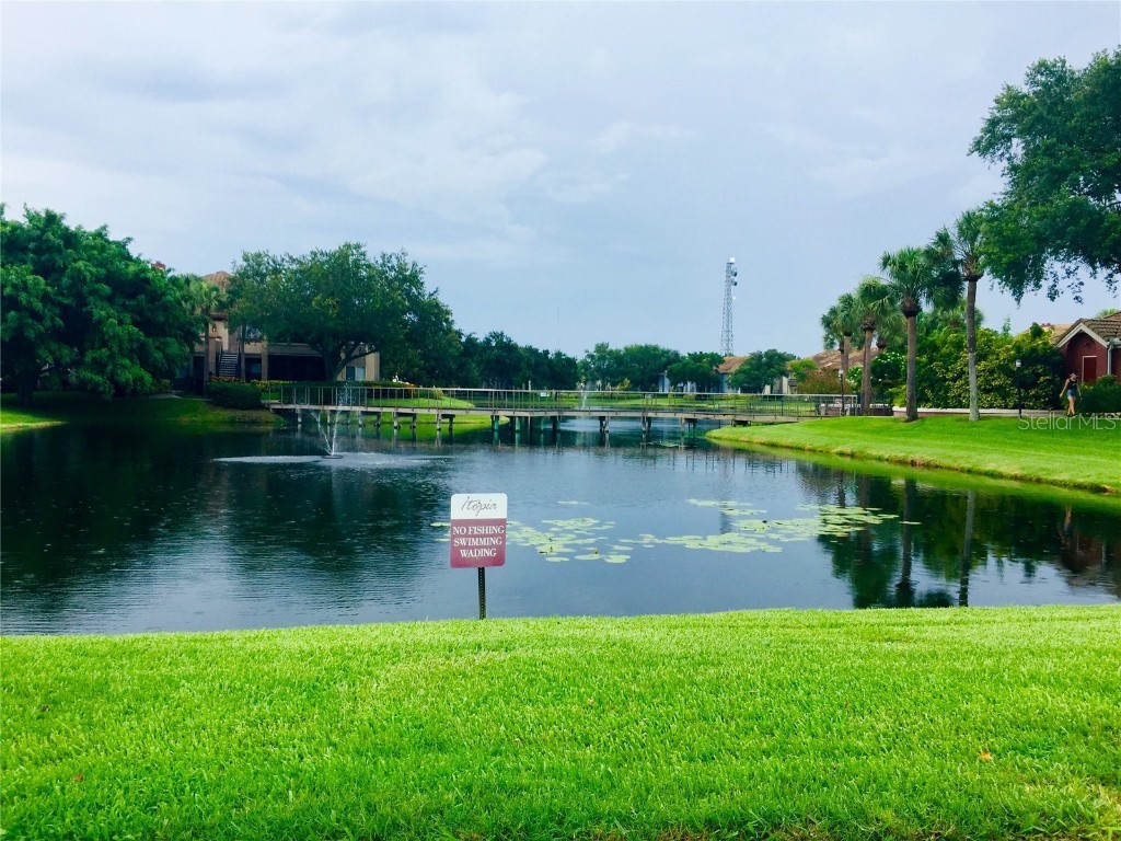 10263 Gandy Boulevard N #513 Saint Petersburg FL 33702 TB8455332 image17