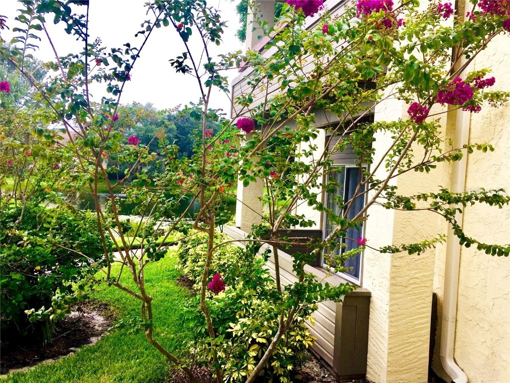 10263 Gandy Boulevard N #513 Saint Petersburg FL 33702 TB8455332 image32