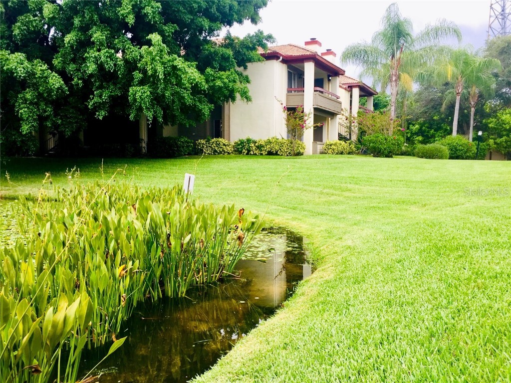 10263 Gandy Boulevard N #513 Saint Petersburg FL 33702 TB8455332 image33