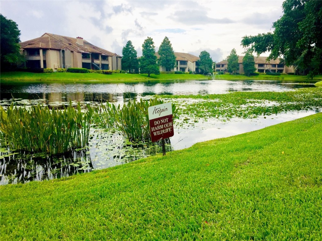 10263 Gandy Boulevard N #513 Saint Petersburg FL 33702 TB8455332 image34