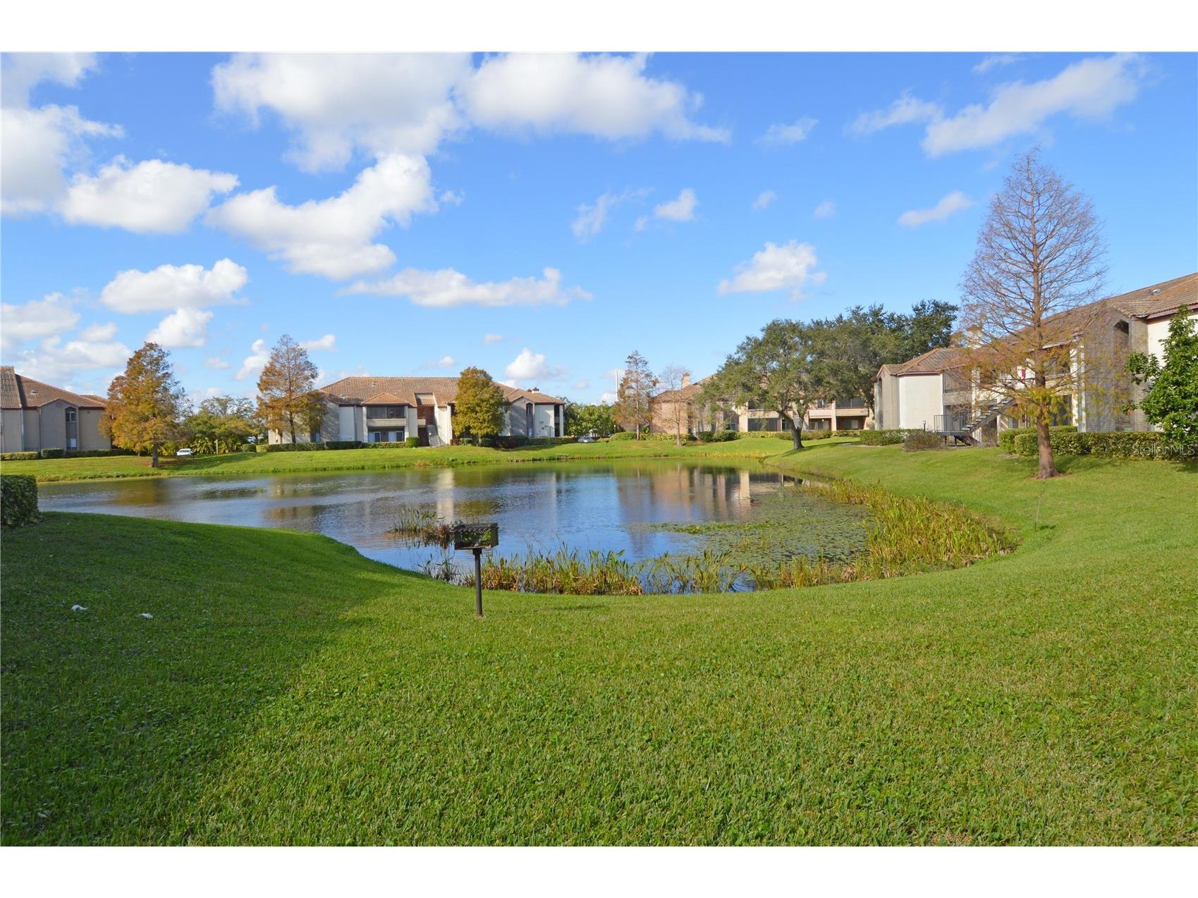 10263 Gandy Boulevard N #602 Saint Petersburg FL 33702 TB8477230 image47