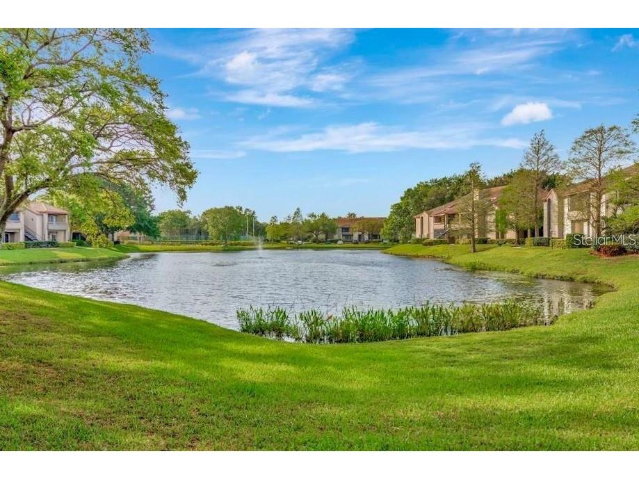 10263 Gandy Boulevard N #602 Saint Petersburg FL 33702 TB8477230 image48