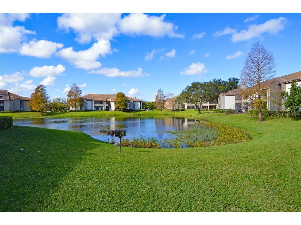 10263 Gandy Boulevard N #607 Saint Petersburg FL 33702 TB8446345 image48