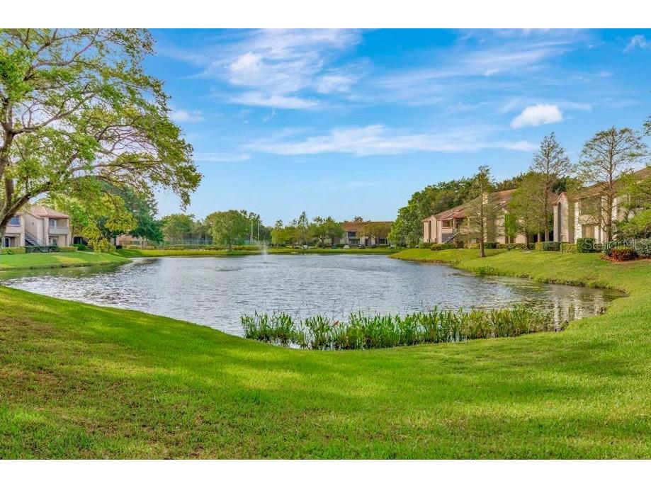 10263 Gandy Boulevard N #607 Saint Petersburg FL 33702 TB8446345 image49