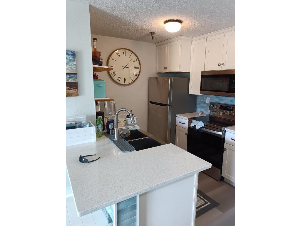 10263 Gandy Boulevard N #611 Saint Petersburg FL 33702 W7877451 image10