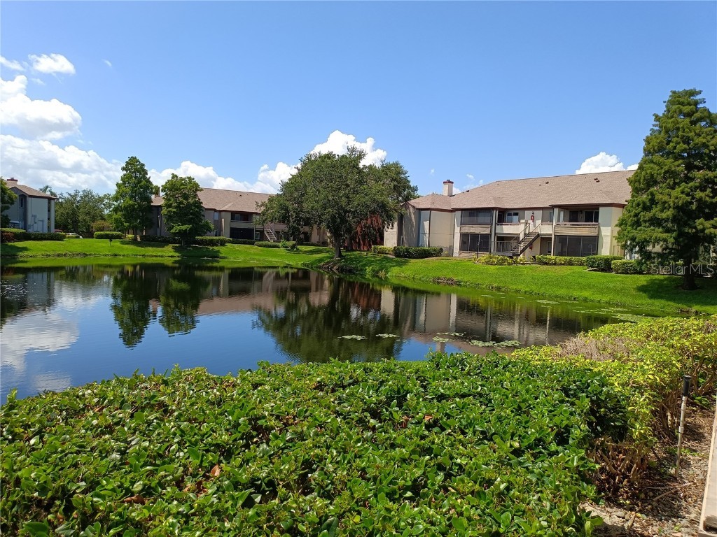 10263 Gandy Boulevard N #611 Saint Petersburg FL 33702 W7877451 image3