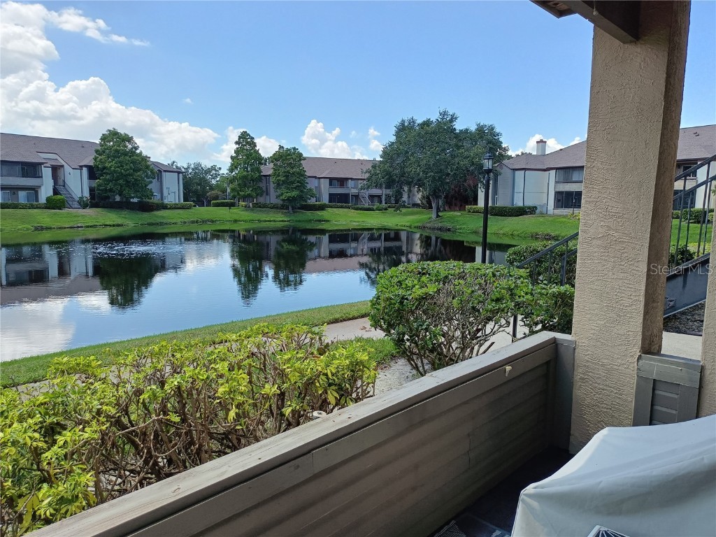 10263 Gandy Boulevard N #611 Saint Petersburg FL 33702 W7877451 image37