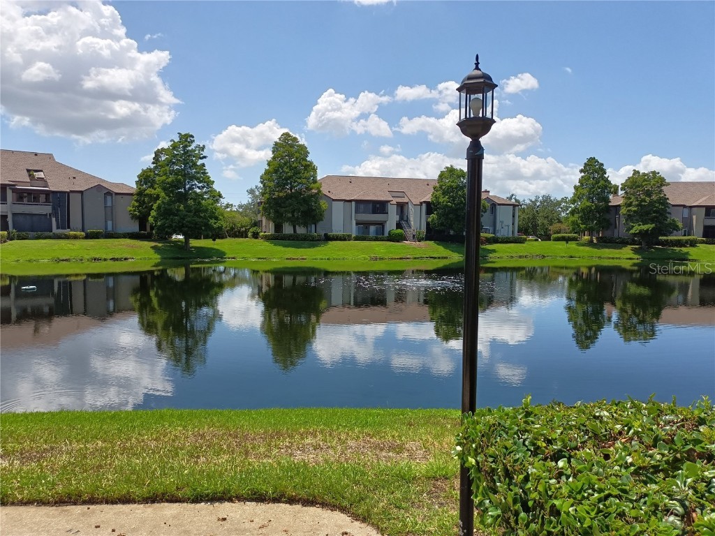 10263 Gandy Boulevard N #611 Saint Petersburg FL 33702 W7877451 image4