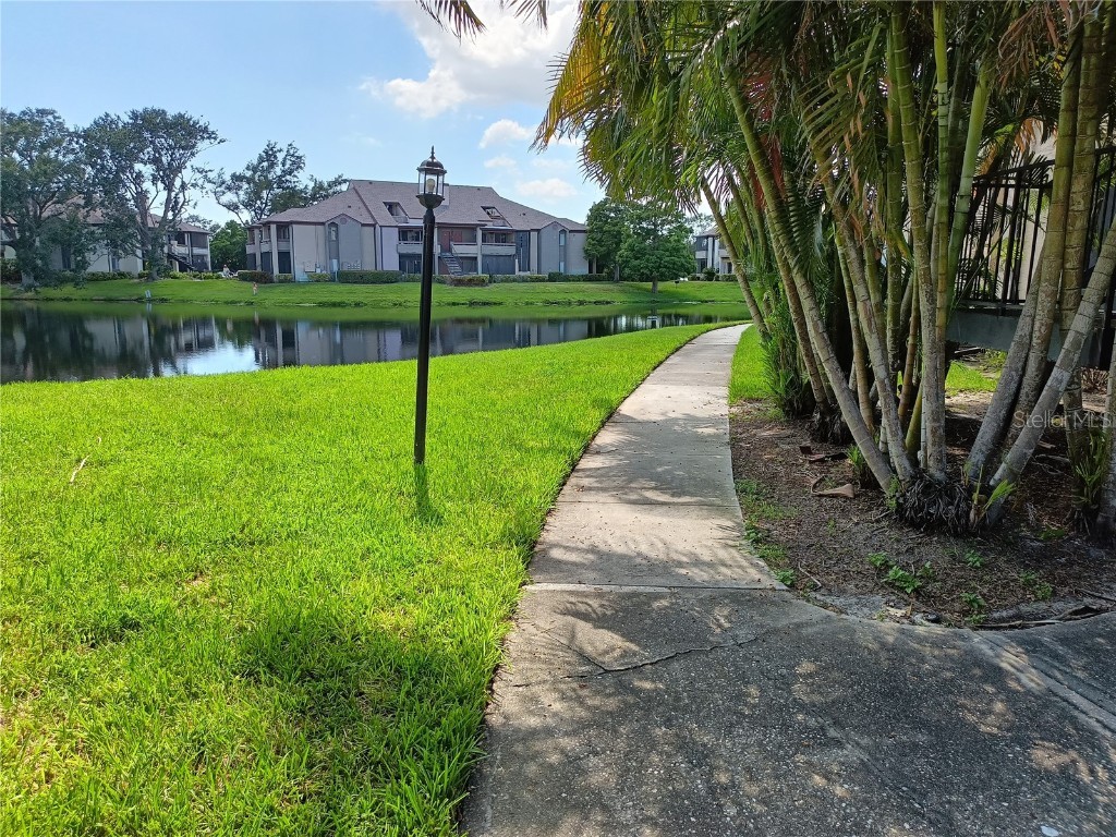 10263 Gandy Boulevard N #611 Saint Petersburg FL 33702 W7877451 image41