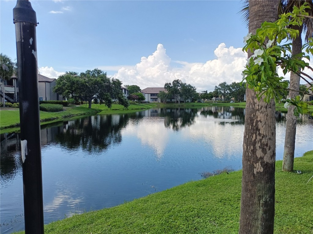 10263 Gandy Boulevard N #611 Saint Petersburg FL 33702 W7877451 image56