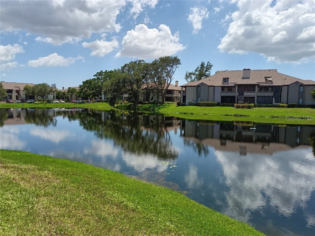 10263 Gandy Boulevard N #611 Saint Petersburg FL 33702 W7877451 image6