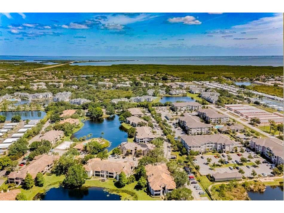 10263 Gandy Boulevard N #704 Saint Petersburg FL 33702 U8205089 image1