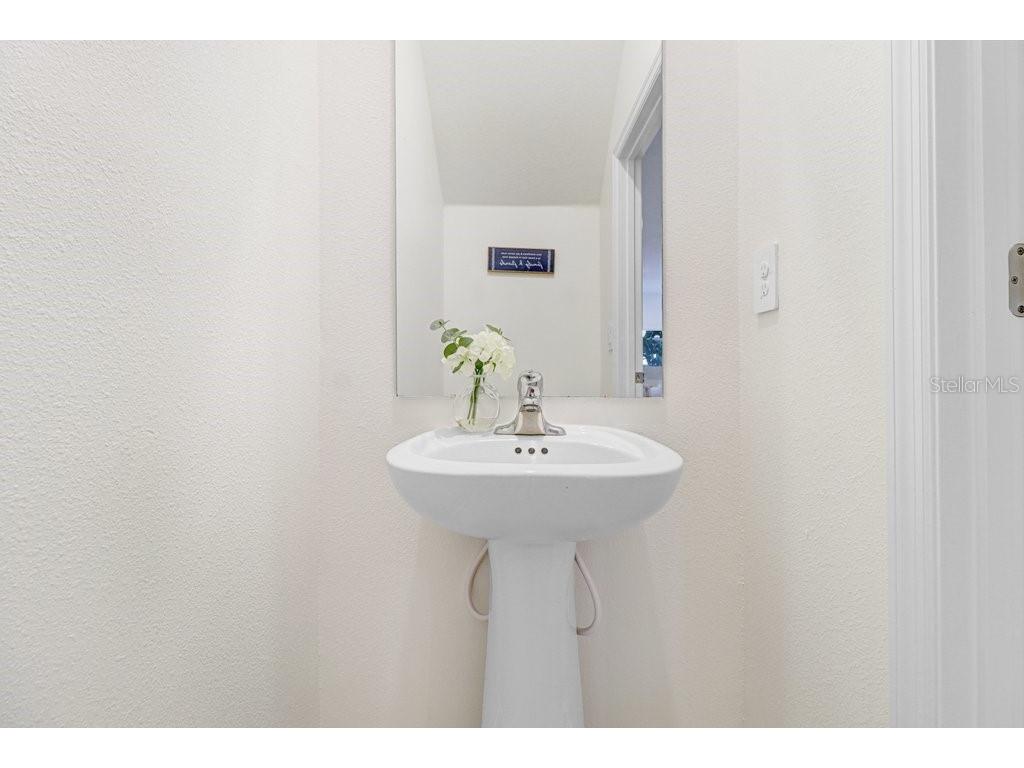 10263 Trumpet Honetsuckle Way San Antonio FL 33576 TB8532216 image16