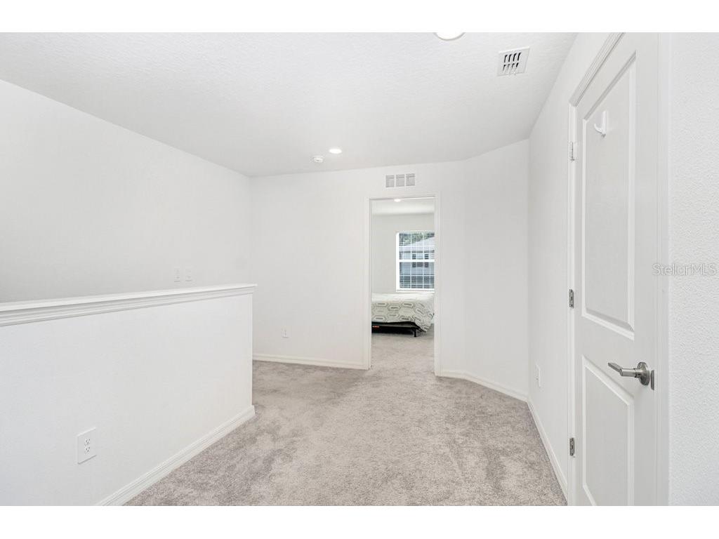 10263 Trumpet Honetsuckle Way San Antonio FL 33576 TB8532216 image19