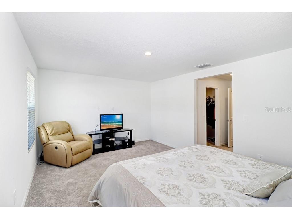 10263 Trumpet Honetsuckle Way San Antonio FL 33576 TB8532216 image22